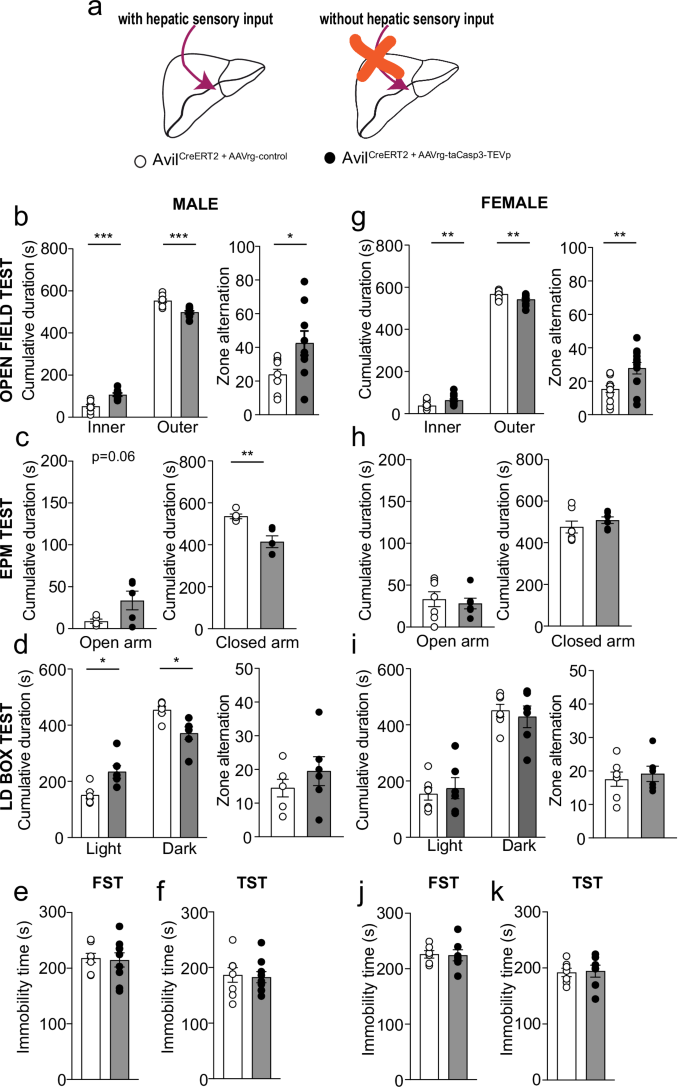 Fig. 7: Deleting liver-innervating vagal sensory neurons improves anxiety-like behavior.