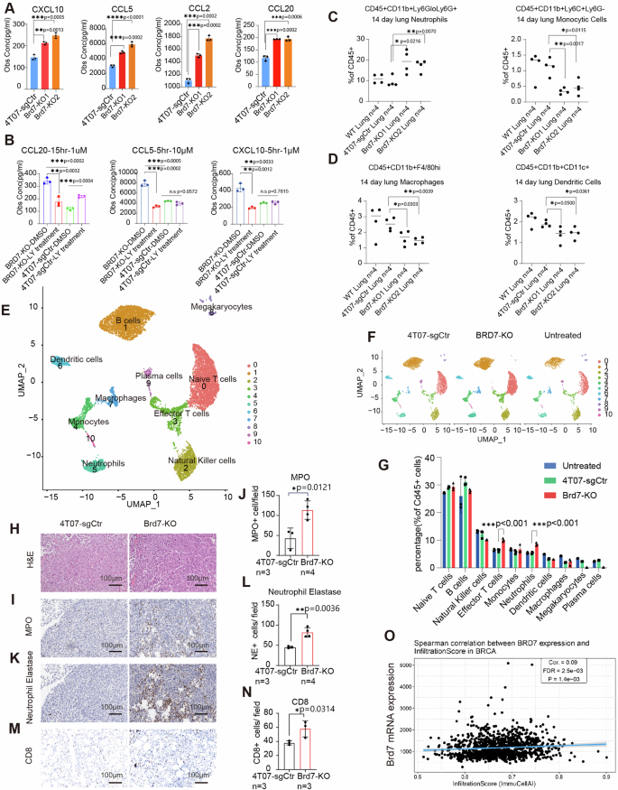 Fig. 4: BRD7 loss reprograms the tumor immune microenvironment to craft an immunosuppressive metastatic niche.