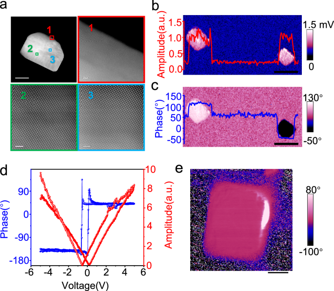 Fig. 1: Characterization of monodomain PTO particles.