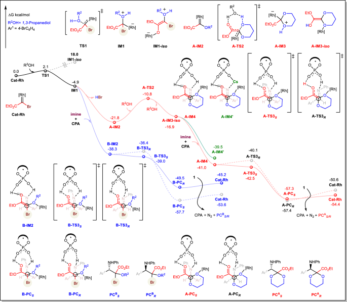 Fig. 7: Free energy profile for the CPA catalyzed enantioselective trifunctionalization with α-bromo Rh-carbenes.