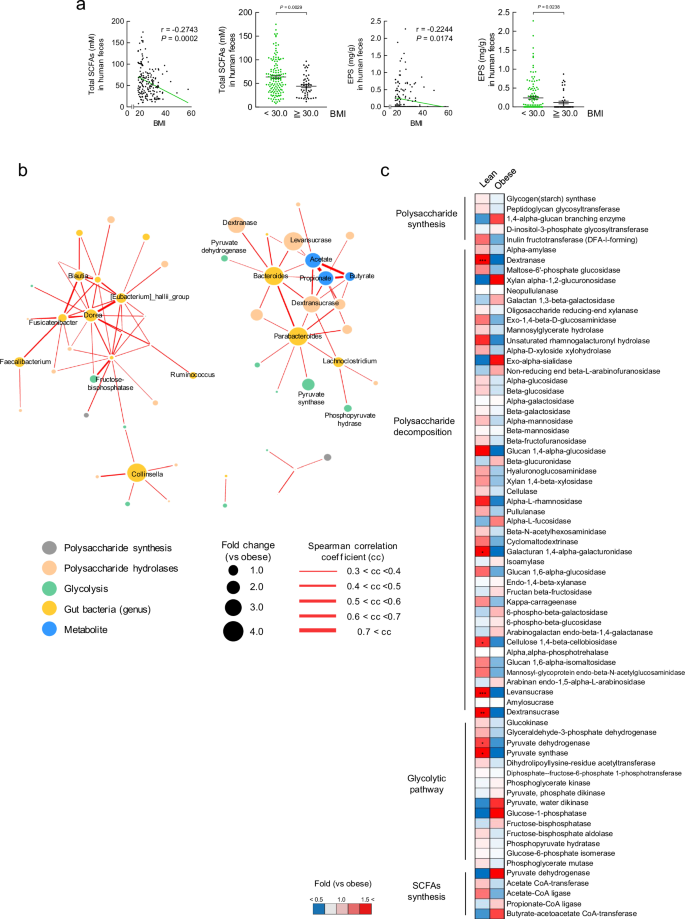 Fig. 2: Gut microbial analysis in human faeces.