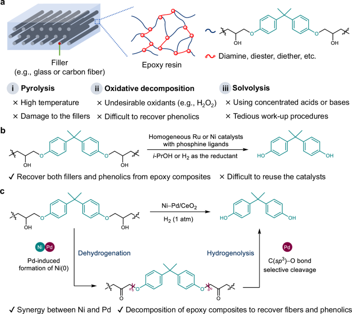 Fig. 1: Outline of this work.