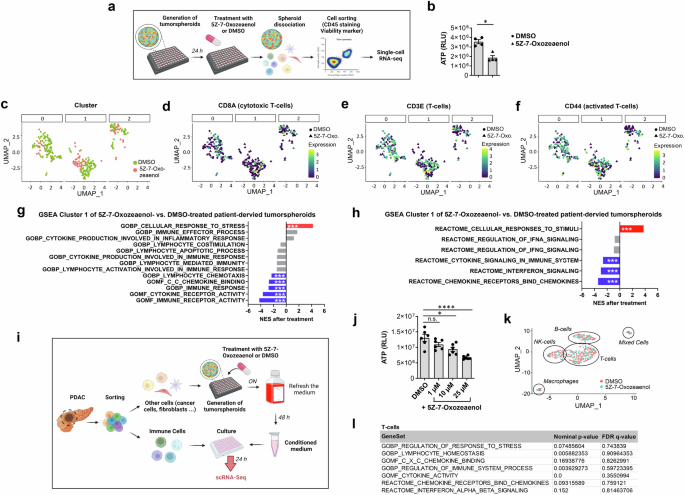 Fig. 5: TAK1 inhibition does not cause a pro-inflammatory immune response.