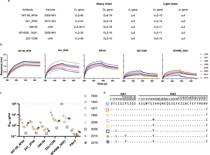 Fig. 1: Characterization of binding and neutralization of 047-09_4F04, 241_2F04, 346-54, SFV009_3G01 and 222-1C06 to a panel of H1N1 HA proteins and viruses spanning 90 years.