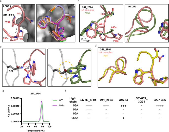Fig. 5: Critical NWPP recognition motif in LCDR3 in anchor antibodies.