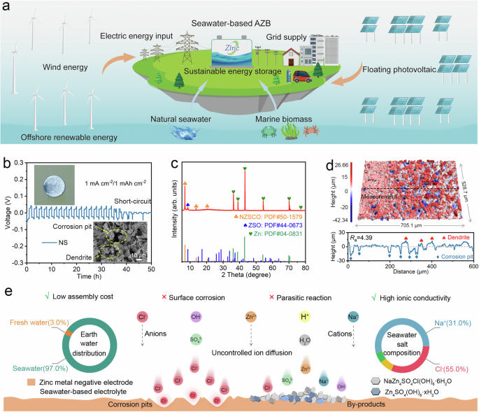 All-natural charge gradient interface for sustainable seawater zinc ...