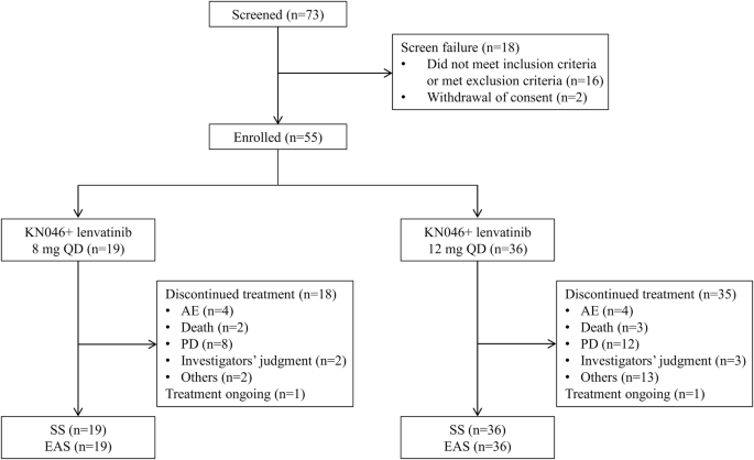 Fig. 1: Study flowchart.