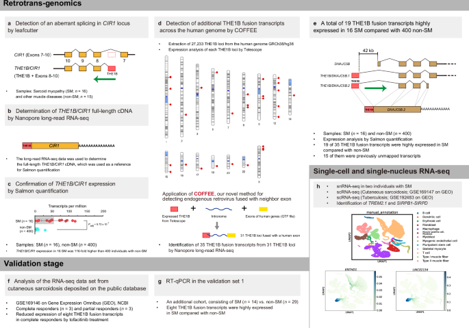 Fig. 1: Overview of retrotrans-genomics and validation studies.