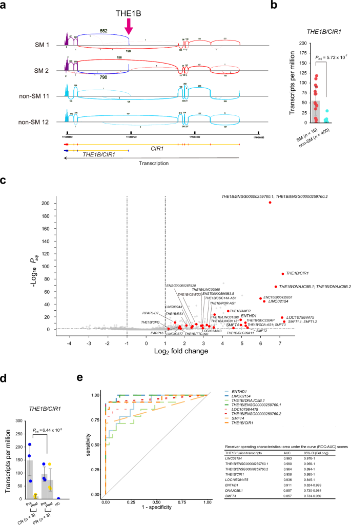 Fig. 2: Discovery of THE1B fusion transcripts associated with SM.