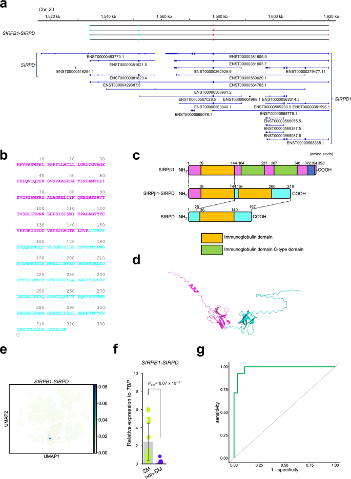 Fig. 5: Gene structure and expression of SIRPB1-SIRPD.