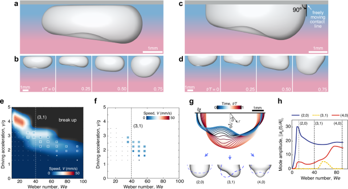 Fig. 2: Hemispherical galloping bubbles and their spectrum.