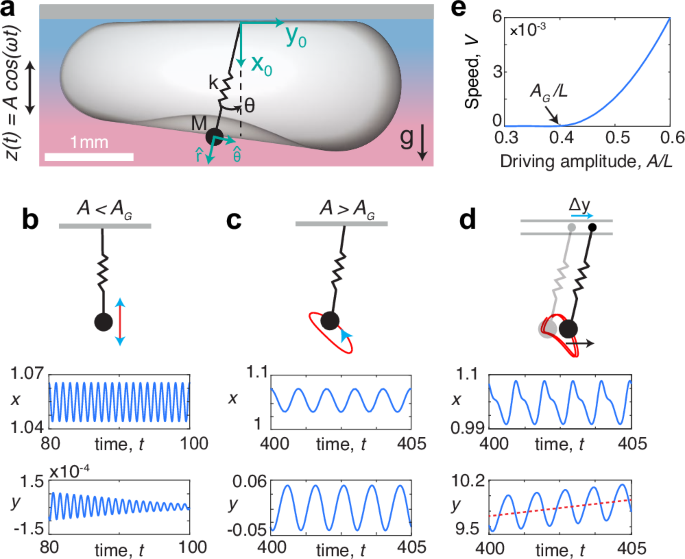 Fig. 4: Oscillator model.