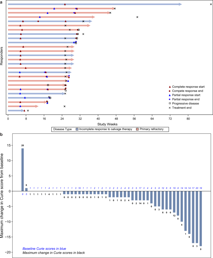 Fig. 2: Efficacy assessment of naxitamab.