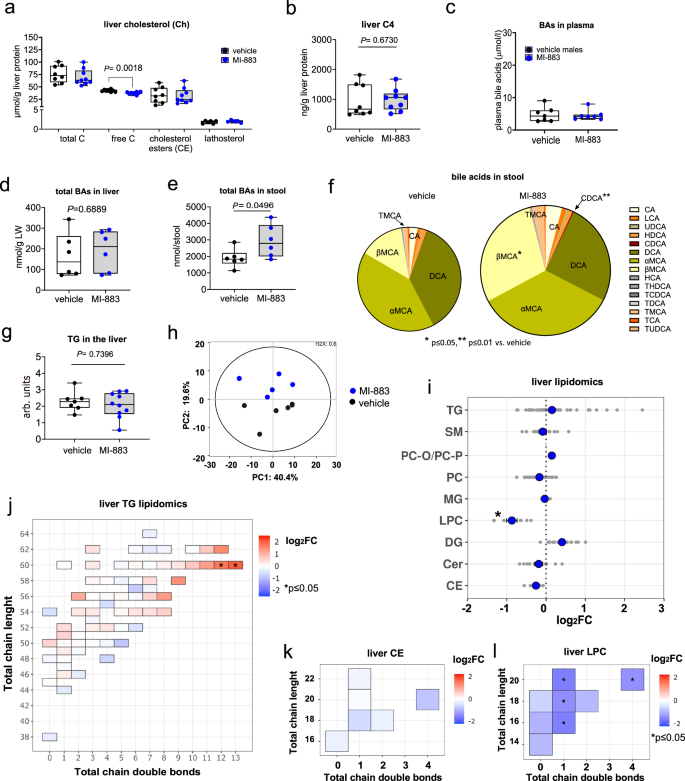 Fig. 5: Lipidomic and bile acid analyses of cholesterol, bile acids, and lipids in plasma, stool, and livers of humanized PXR-CAR-CYP3A4/3A7 mice treated with MI-883 in the study with the high-fat diet.