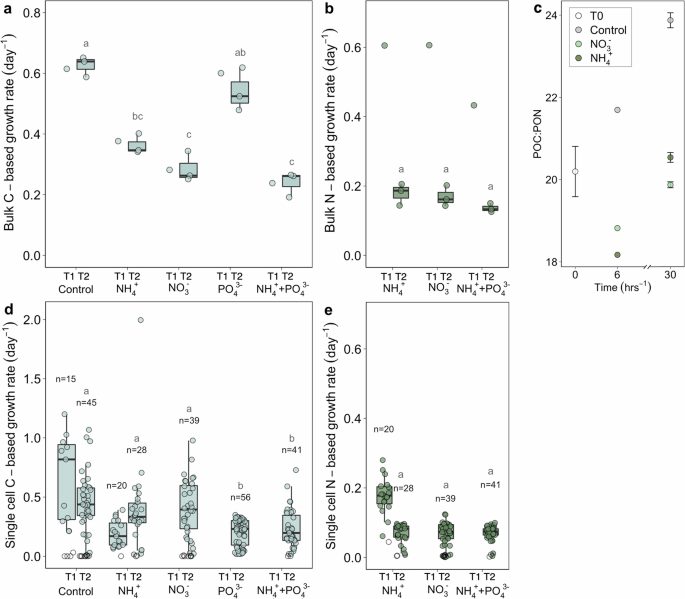 Fig. 4: Growth rates of the bulk community, changes in POC:PON ratios and growth rates of single glacier ice algal cells.