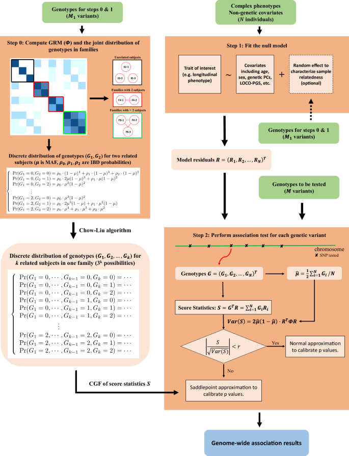 Fig. 1: Workflow of SPAGRM framework.
