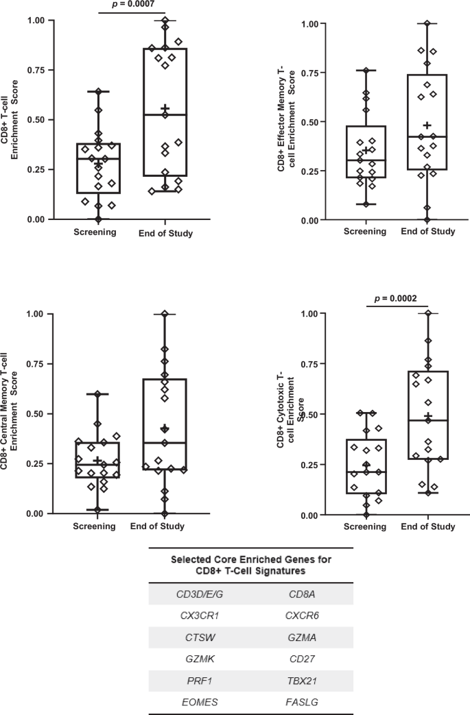 Fig. 5: INO-3107 drives enrichment of CD8 + T-cell populations in airway tissue.