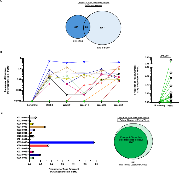 Fig. 7: T-Cell infiltration into papillomas after INO-3107 treatment is predominantly composed of emergent T-cells trafficking from the blood.
