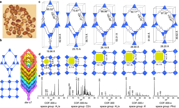 Fig. 2: The single-crystal-to-single-crystal structural transformation of COF-300 at room temperature.