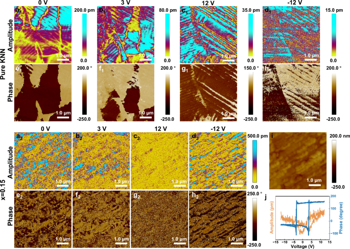 Fig. 4: Out-of-plane PFM of (1-x)KNN-xSNZ ceramics.