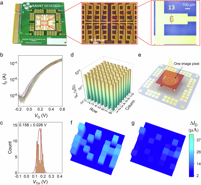 Fig. 5: Synaptic array for image recognition and memorization.