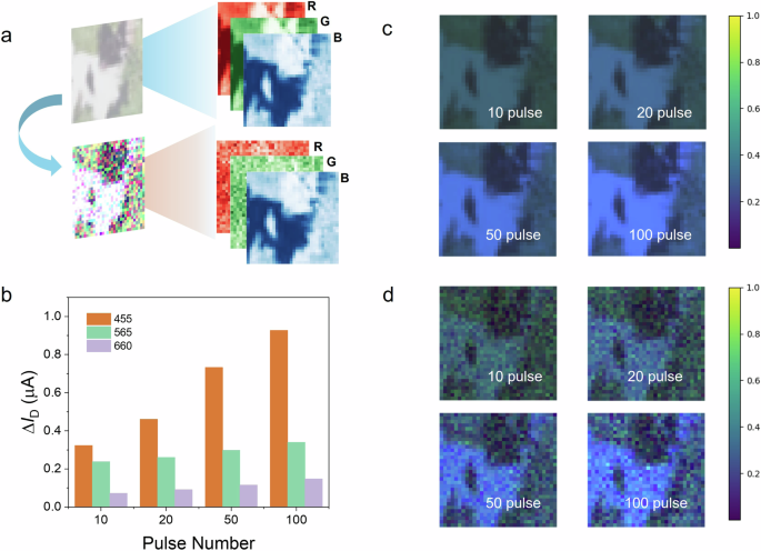 Fig. 6: Full-color image processing.