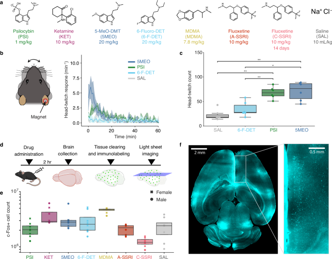 Fig. 1: Imaging brain-wide c-Fos expression at cellular resolution following drug administration.
