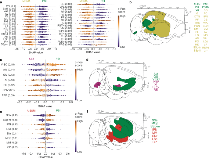 Fig. 6: Brain regions driving the prediction of MDMA, ketamine, or fluoxetine from psilocybin.
