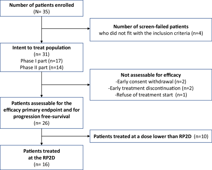 Fig. 1: Flowchart of ENDOLA trial.