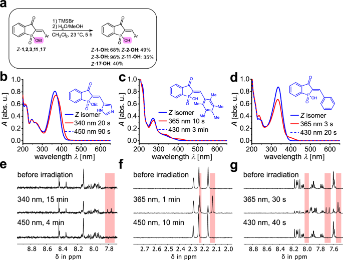 Fig. 4: Absorption and photoswitching behavior of HPI 17 and hydrolyzed HPIs in water or D2O.