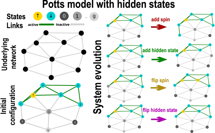 Fig. 3: Potts model with hidden states.