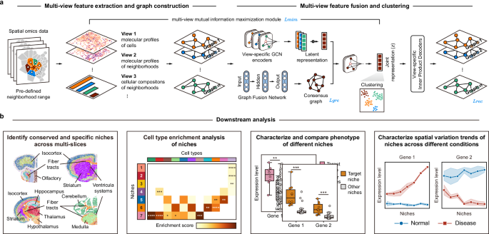 Fig. 1: Overview of scNiche.