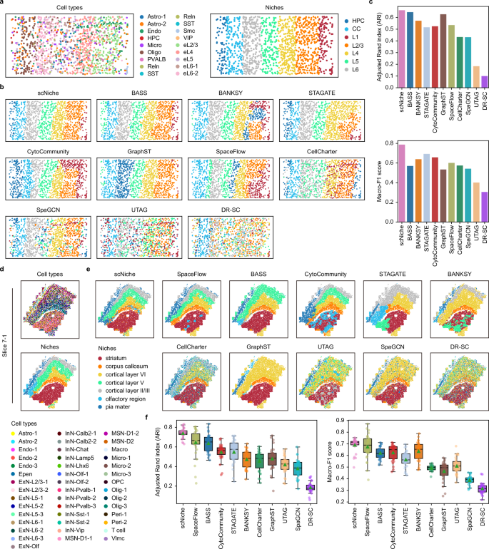 Fig. 3: Performance evaluation of scNiche on spatial transcriptomics datasets.