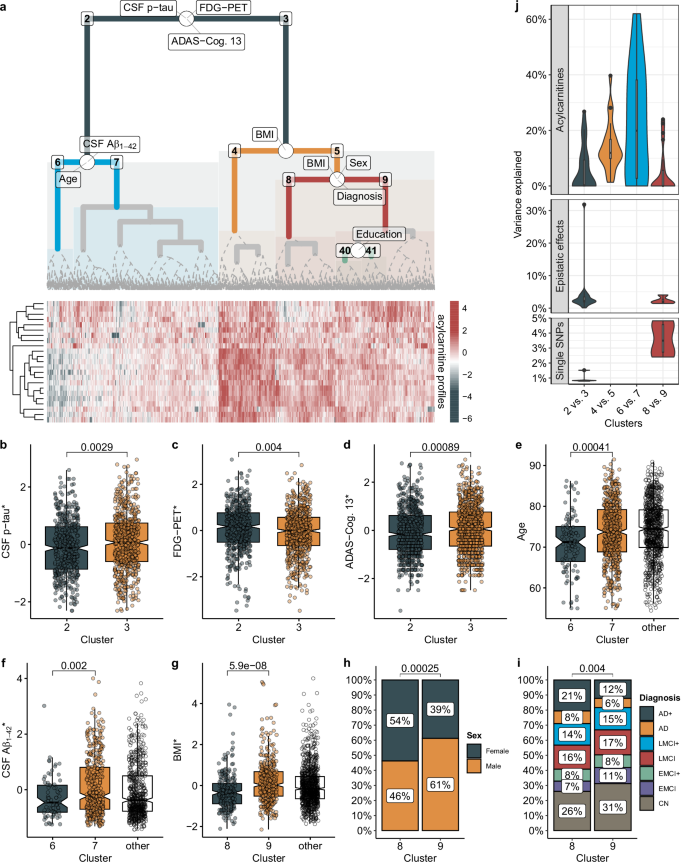 Fig. 2: Acylcarnitine profiles stratify participants from the ADNI study in groups of different AD pathology.