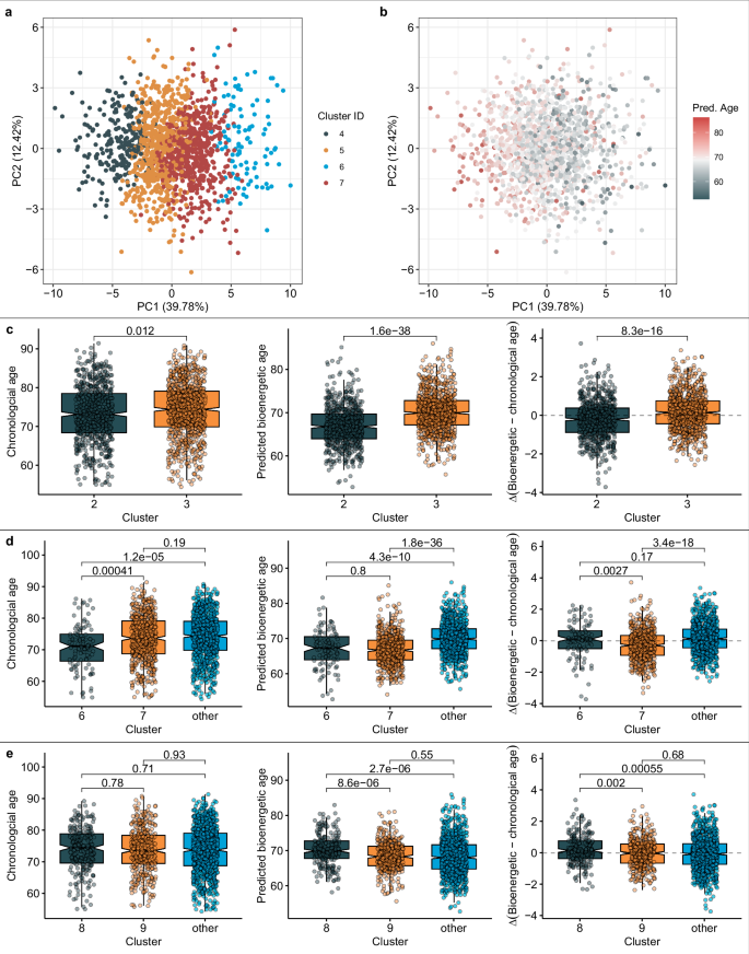 Fig. 3: Bioenergetic age as a readout of bioenergetic capacity and determinant of bioenergetic subgroups.