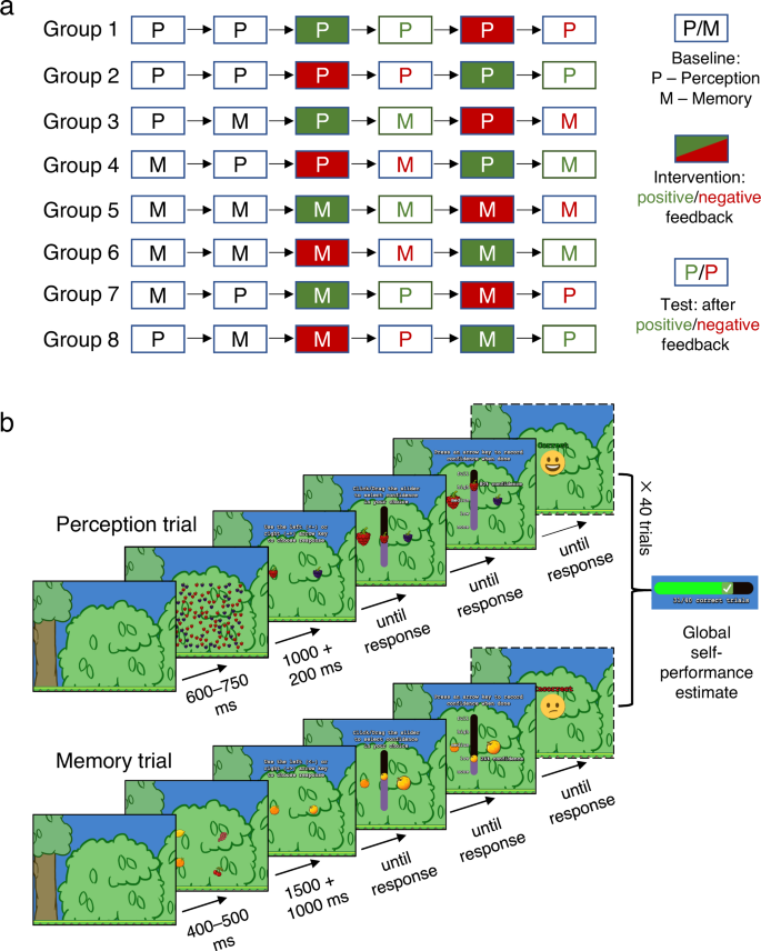 Fig. 2: Study design and stimuli.