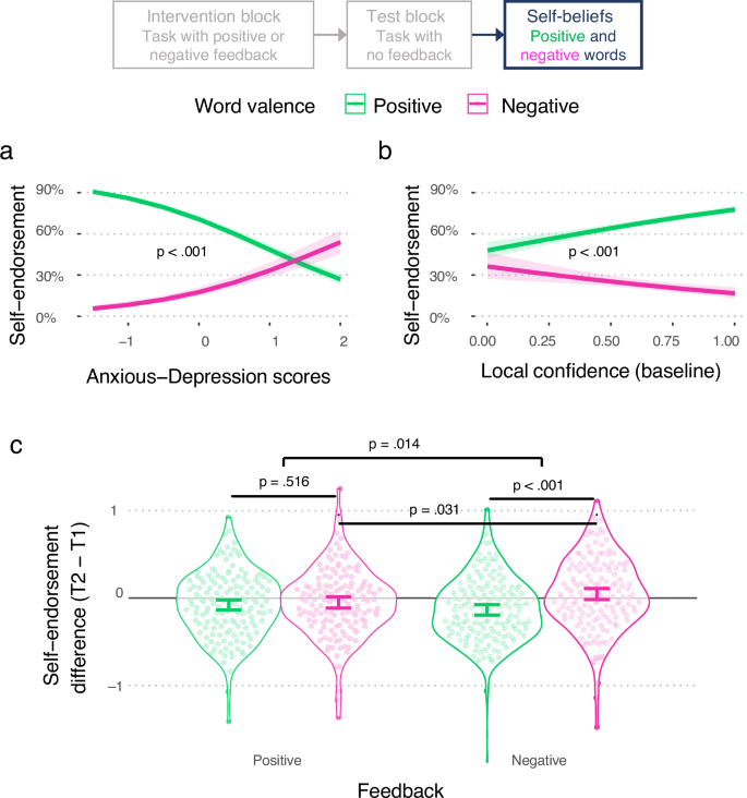Fig. 5: Metacognition and its relation to affective self-evaluation.