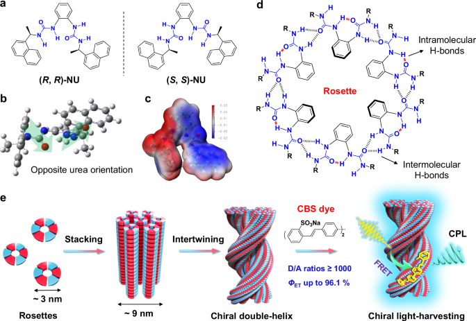 Fig. 1: Schematic representation of supramolecular rosette-intermediated hierarchical assembly of homochiral double-helix.