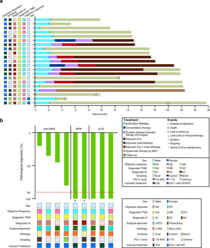 Fig. 2: Tumor responses in the Chemo-free subgroup.