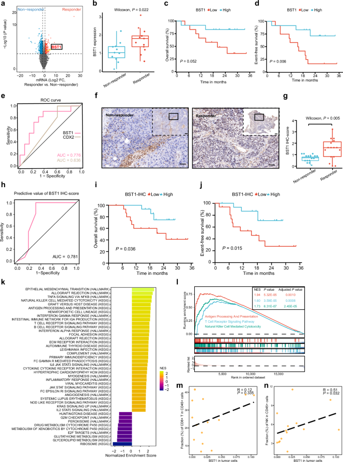 Fig. 4: BST1 is a promising biomarker for chemoimmunotherapy response in patients with negative or low-level PD-L1 expression.