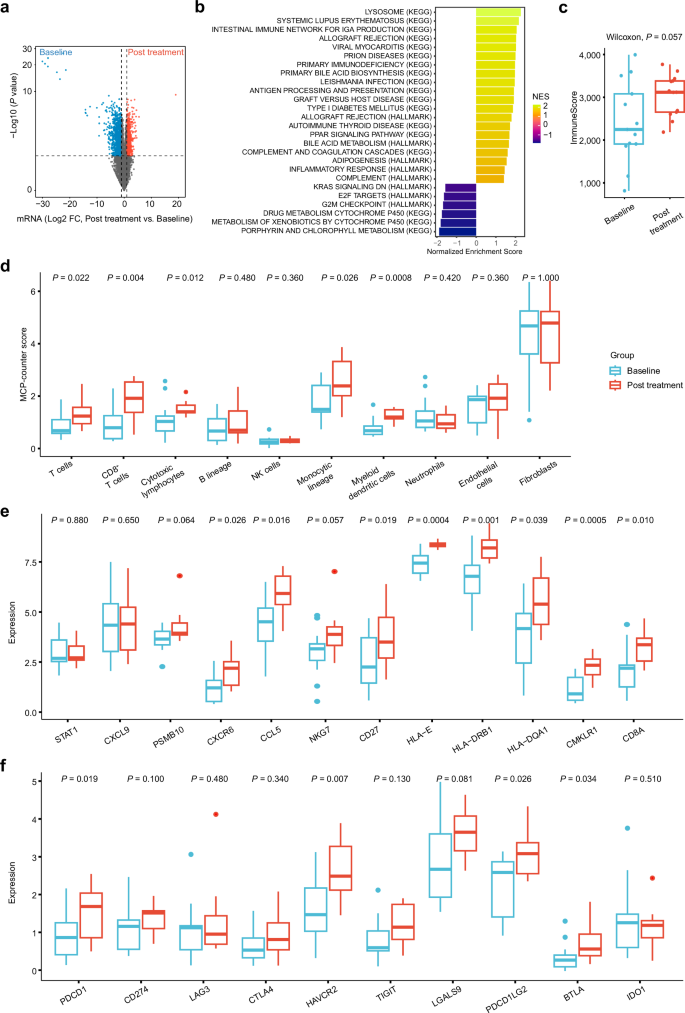 Fig. 5: Enhanced activation of the TIME post-treatment in patients responsive to chemoimmunotherapy.