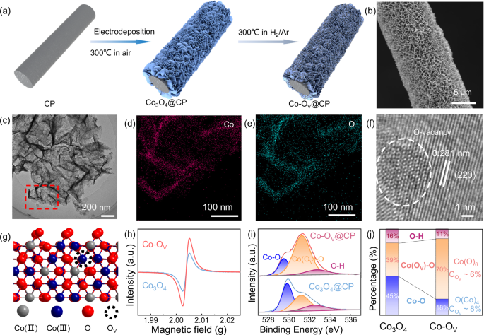 Fig. 1: Catalyst preparation and characterization.