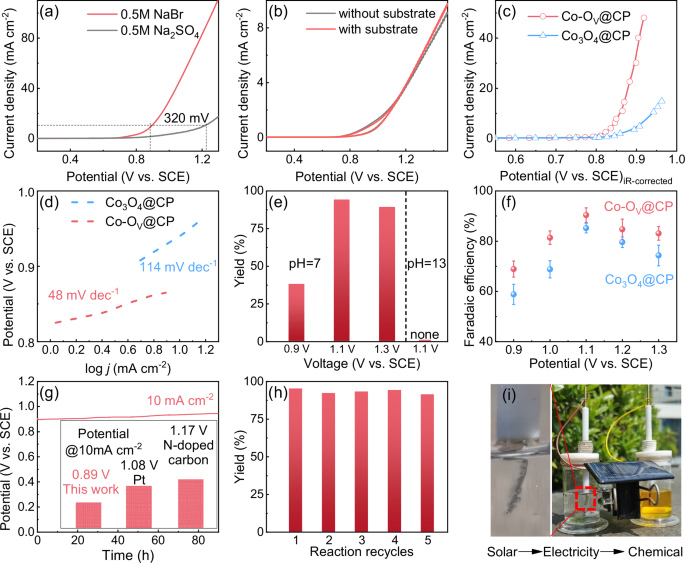 Fig. 2: Electrochemical measurements.
