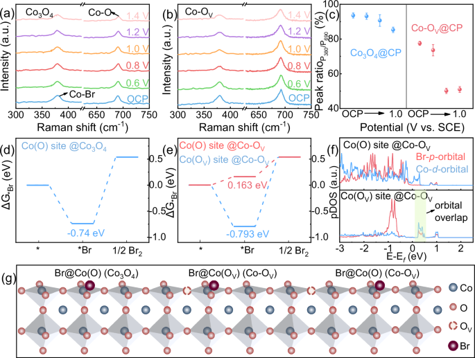 Fig. 3: Reaction mechanism.