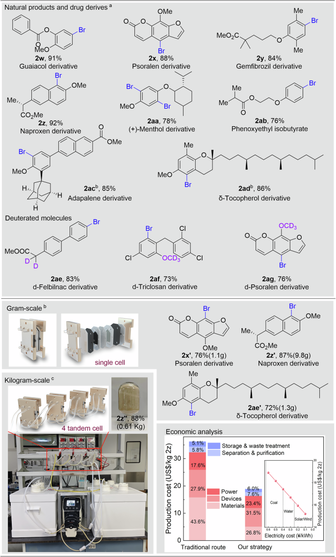 Fig. 5: Direct bromination of natural products and drug derivatives.