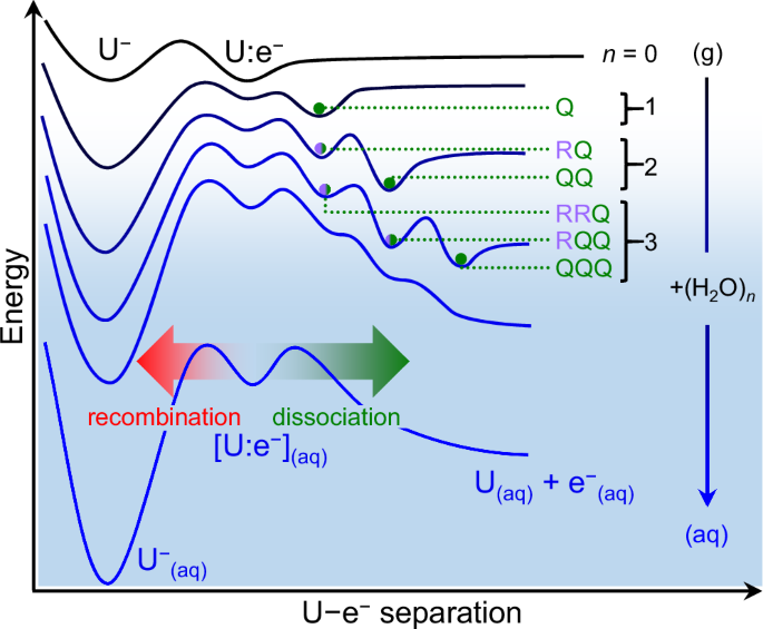 The role of water molecules in the dissociation of an electron-molecule ...