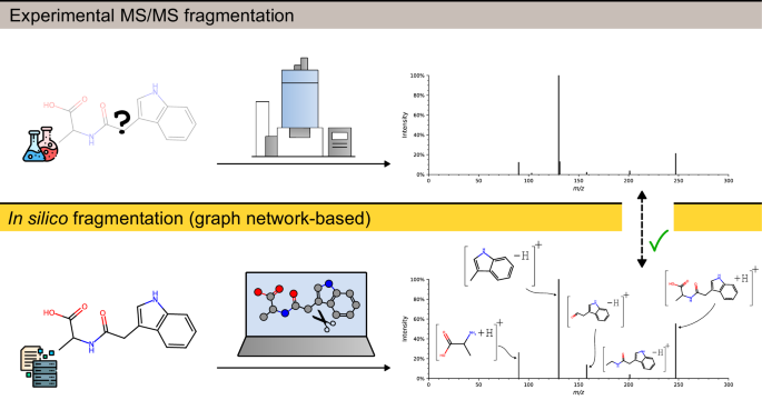 Fig. 1: Illustration of experimental MS/MS fragmentation in comparison to the in silico fragmentation workflow.