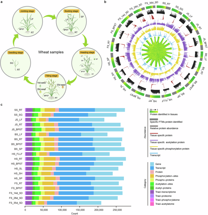 Fig. 1: Tissue map and multi-omics dataset.