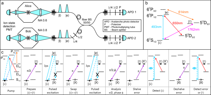 Fig. 1: Experimental apparatus and scheme.