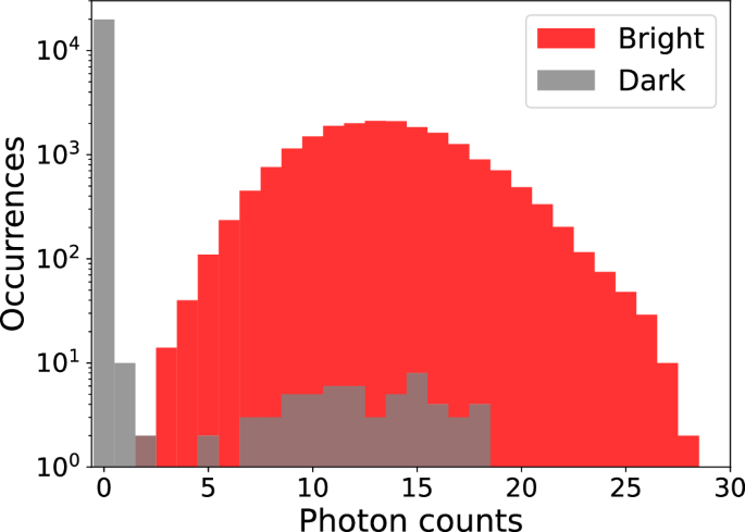 Fig. 6: Histogram of ion-fluorescence counts in Alice for qubit state prepared in 
                        
                          
                        
                        $$| \downarrow \left.\right\rangle$$
                        
                          ∣
                          ↓
                          
                            
                          
                        
                       (bright) and 
                        
                          
                        
                        $$| \uparrow \left.\right\rangle$$
                        
                          ∣
                          ↑
                          
                            
                          
                        
                       (dark).